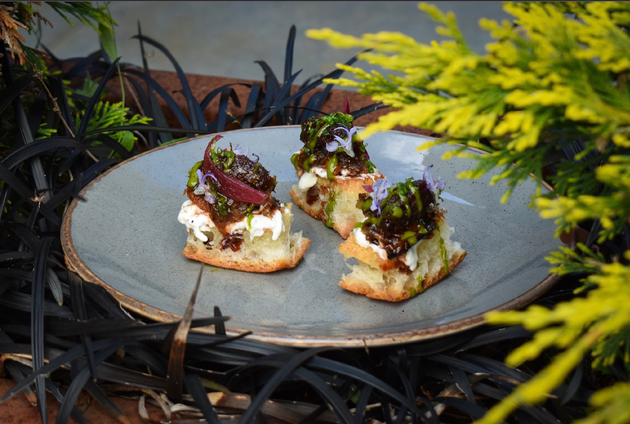Ruger Fjord focaccia bites topped with herbs and pickled onion, plated on a ceramic dish.