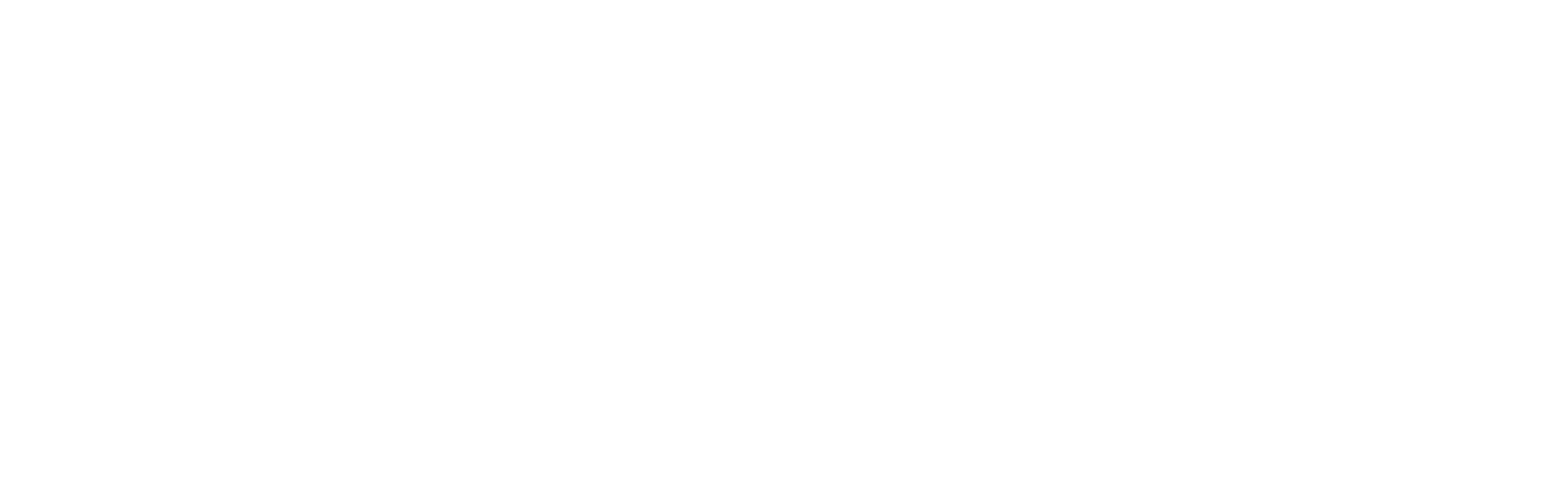 Ruger Fjord
